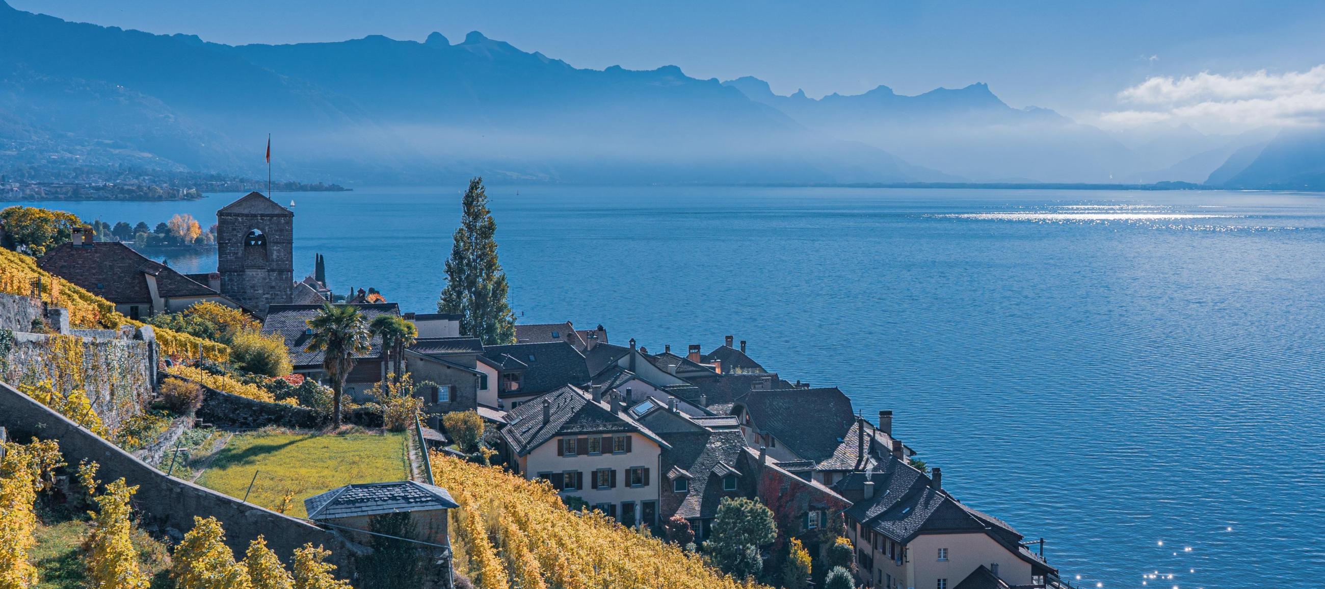 Lavaux